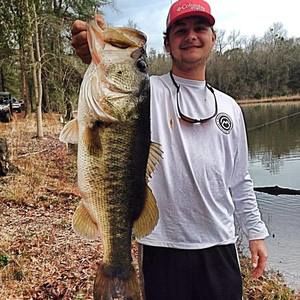 Meet your Posher, Dylan